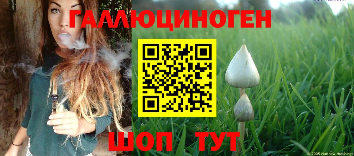 Киров  Галлюциногенные грибы прущие грибы  Вход с VPN 