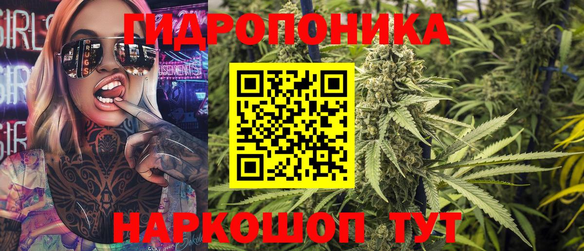 Киров  Конопля план  Вход с VPN  Конопля планчик  МАРИХУАНА конопля 